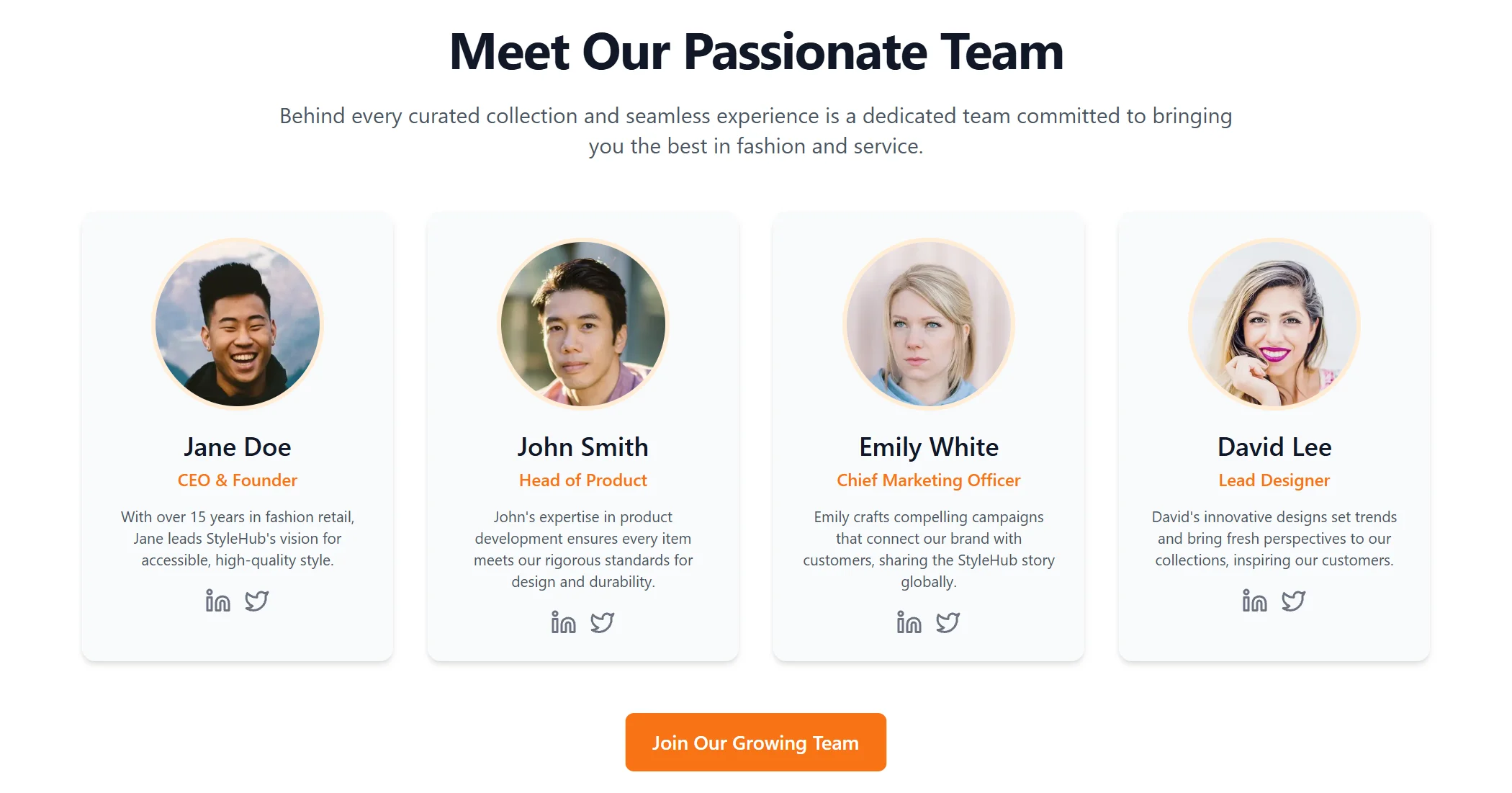 Team E-commerce Modern